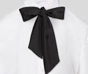 KARL BY KARL POPLIN TUNIC - Image 4