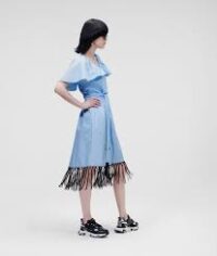 DRESS W/ FRINGING DETAIL - Image 3