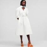 HUN'S PICK COLLAR SHIRT DRESS