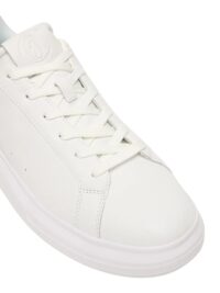 FONDO URSA DIS. 4 - Image 5